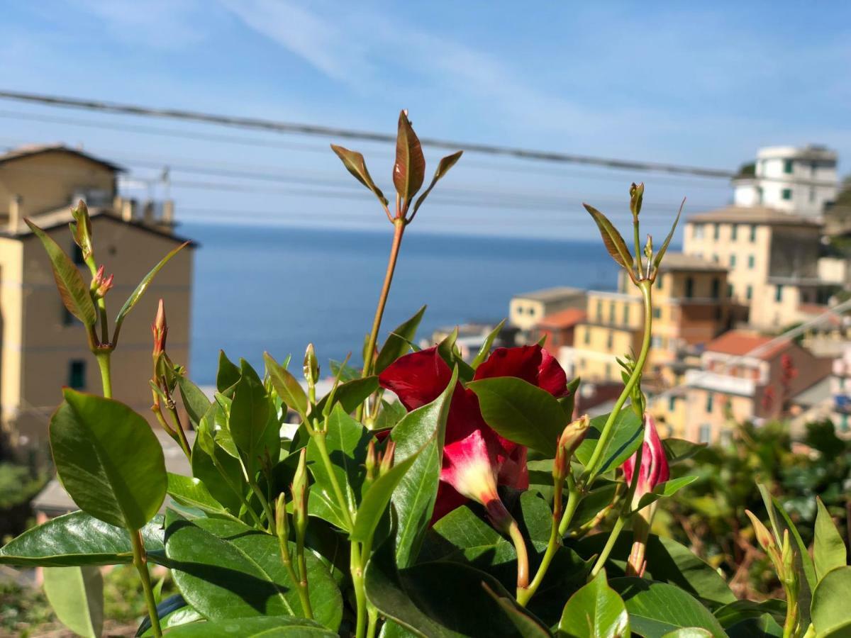里奥马哲雷 Cinque Terre Coast To Coast酒店 外观 照片